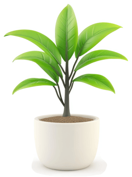 Vibrant potted plant with lush green leaves. png