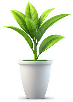 Vibrant potted plant, a lush indoor greenery. png