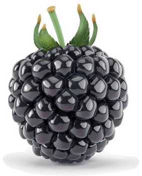Close-up view of a glossy, dark blackberry. png