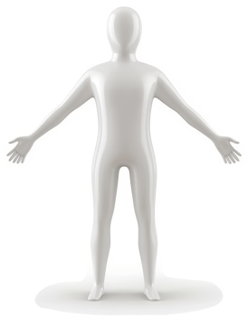 Full-body, anatomical, white model of a human figure. png