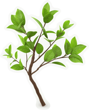 A young, vibrant branch with fresh green leaves. png