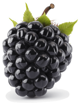 Close-up view of a plump, dark blackberry. png