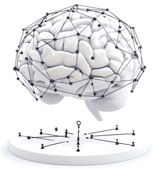 Networked brain structure on a support base. png