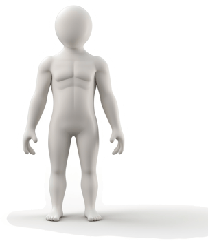 Full-body 3D model of a child's human anatomy. png