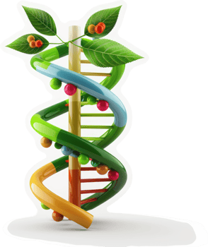 Colorful dna helix intertwined with a plant stem. png