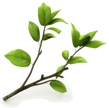 A vibrant, springtime branch with fresh green leaves. png