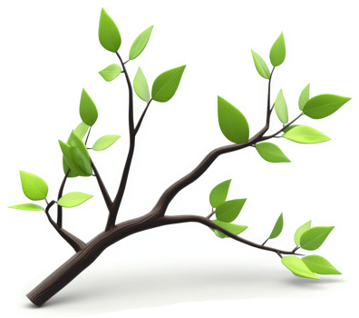 A slender, verdant branch adorned with vibrant leaves. png