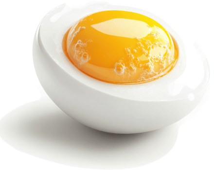 Close-up view of a halved boiled egg. png