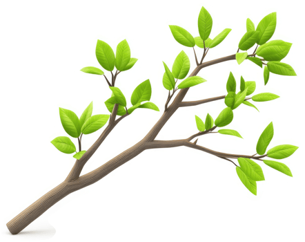 Sprouting branch with vibrant leaves. png