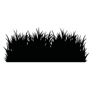 Black Grass Silhouette Isolated On White Background Decorative Illustration vector
