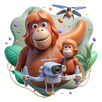 magnificent traditional Drone Photographing Orangutan Mother and Child Cutout Element high resolution png