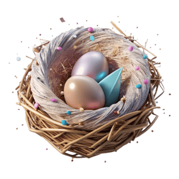 wonderful traditional Bird Nest Empty After Fledging Transparent Background exclusive png