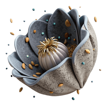 magnificent traditional Arctic Poppy Seed Pod Cutout Dry Texture original png