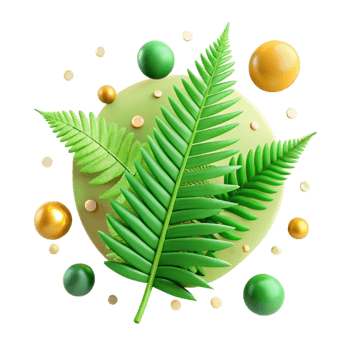 elegant vintage Fern with Green Fronds Cutout professional png