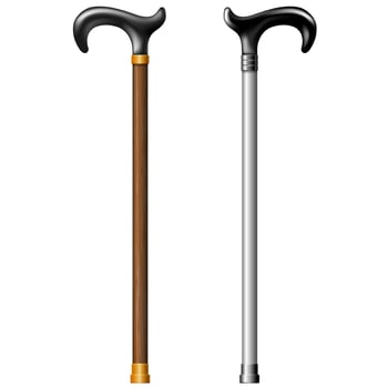 Walking sticks ill vector