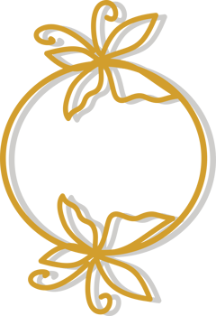 Twin butterfly golden frame png