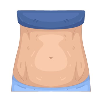 Illustration of Waist vector
