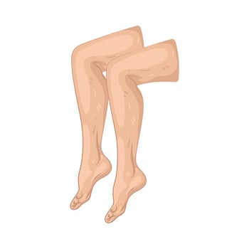 Illustration of Leg vector