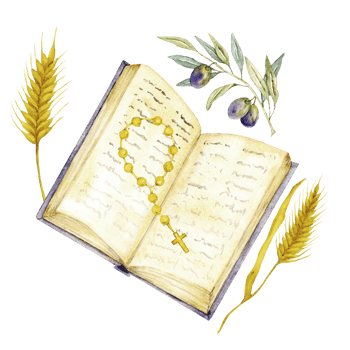 Open Bible, rosary, olive branch and ears of wheat. Watercolor composition for first communion, baptism, wedding greeting cards, invitation. Save the date, anniversary. Hand drawn. Isolated png