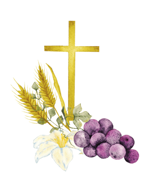 Watercolor composition with catholic religious symbols. Cross with bunch of grapes, ears and white lily. Isolated. For first communion, wedding, baptism greeting card, invitation png