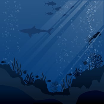 ill of sea life and coral on seabed vector