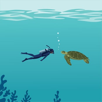Scuba diver swimming underwater with sea turtle in calm ocean flat illustration vector