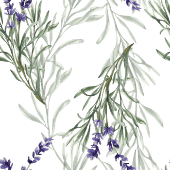 Violet lavender flowers watercolor seamless pattern. Floral hand drawn background with wild field floral elements, romantic purple clipart for textile, fabric, summer packing design png
