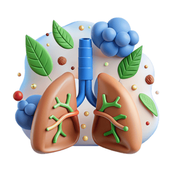 extraordinary creative Clean Air Initiative Icon with Lungs and Tree Isolated genuine png
