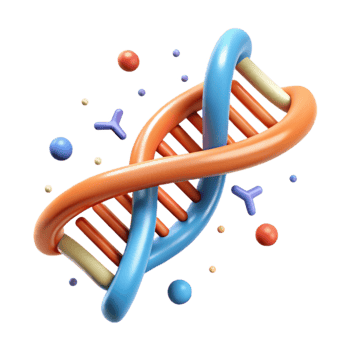 wonderful contemporary Dna Strand Double Helix Structure Isolated Cutout exclusive png