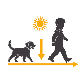 A child walking a dog under the sun, represented in an illustrated style. Bright elements symbolize a joyful outdoor experience. png