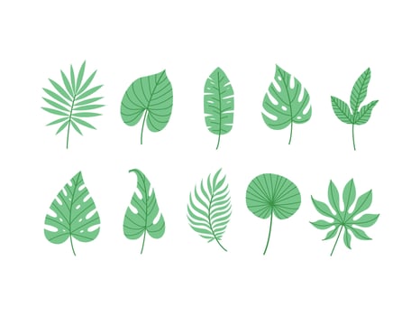 Tropical green leaves collection isolated on white background vector