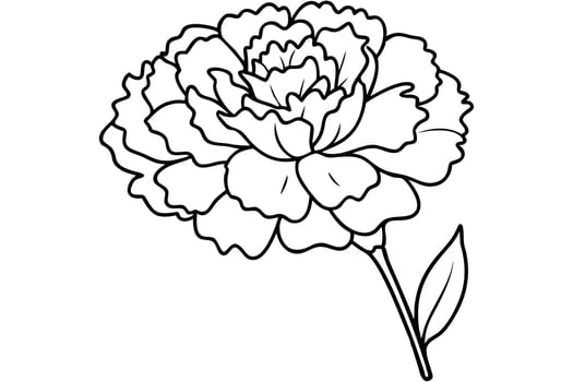 A Elegant Black and White Carnation Line Art Drawing vector