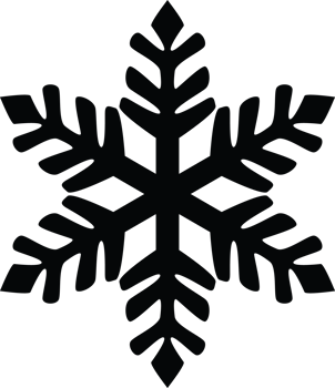 Bold Graphic Snowflake Winter Icon png