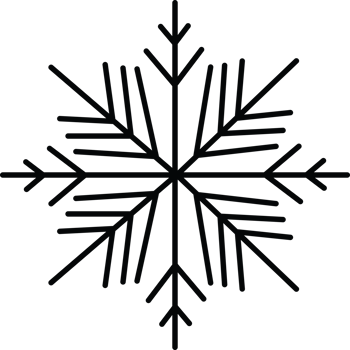 Intricate Winter Snowflake Illustration png