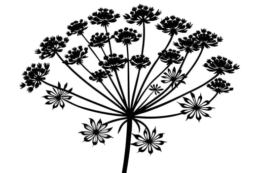 Elegant Black and White Silhouette of a Wildflower, Blooming in a Serene Garden Setting, Evoking a Sense of Calm and Tranquility vector
