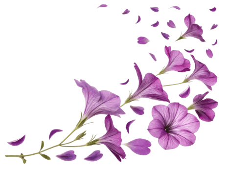 Petunia flowers bloom in vibrant shades of purple creating stunning visual display that captivates heart and soul png