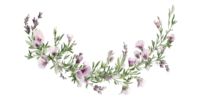 Watercolor floral branch with blossoms isolated on transparent background png