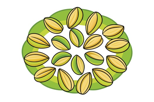 Colorful Pistachios Arranged in a Circle vector