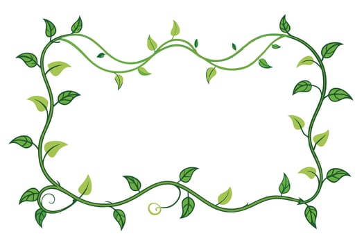 Elegant green vine border on a white background. vector