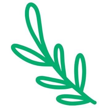 Tree Leaf Icon Illustration png