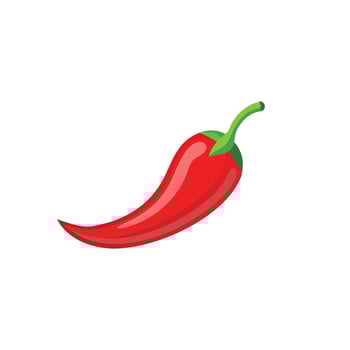 Red chili pepper flat illustration on white background. vector