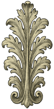 Ornate Vintage Floral Design Element for Artistic Creations png