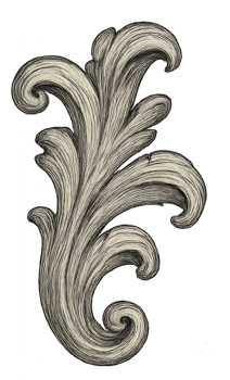 Elegant Ornamental Flourish Design with Detailed Line Work png
