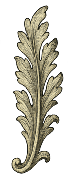 Detailed Hand-Drawn Leaf Design Element for Vintage Decor png