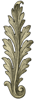 Ornate Leaf Decoration with Intricate Details for Artistic Use png