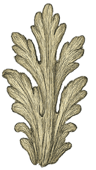 Ornate Leaf Design with Detailed Texture and Natural Aesthetic png