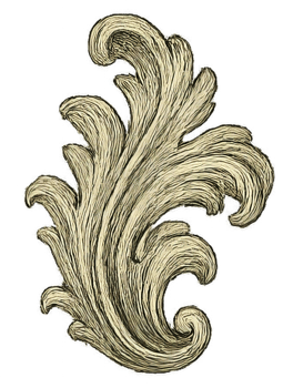 Elegant Vintage Flourish Design with Intricate Swirls and Curves png