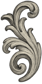 Ornate Vintage Flourish Design in Elegant Scroll Pattern png