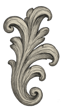 Decorative Vintage Ornament Design with Elegant Flourishes and Curves png