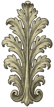 Intricate Vintage Floral Design Ornament in Elegant Style png